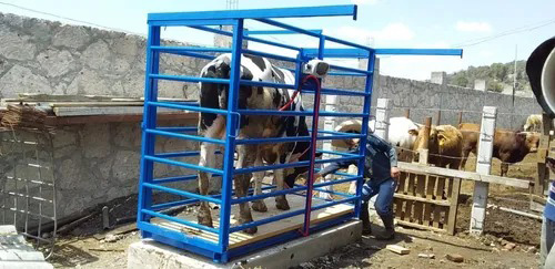 Imagen de referencia de Básculas ganaderas Tipo jaula, BGJ-1.5T / BGJ-2T