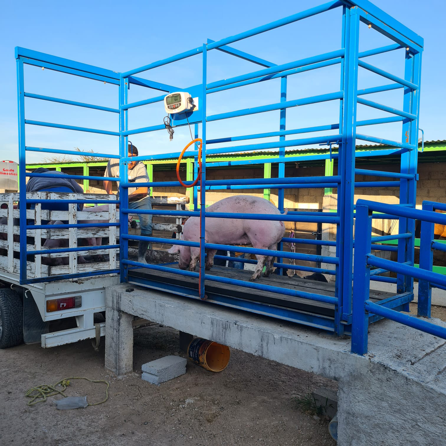 Imagen de referencia de Básculas ganaderas Tipo jaula, BGJ-1.5T / BGJ-2T